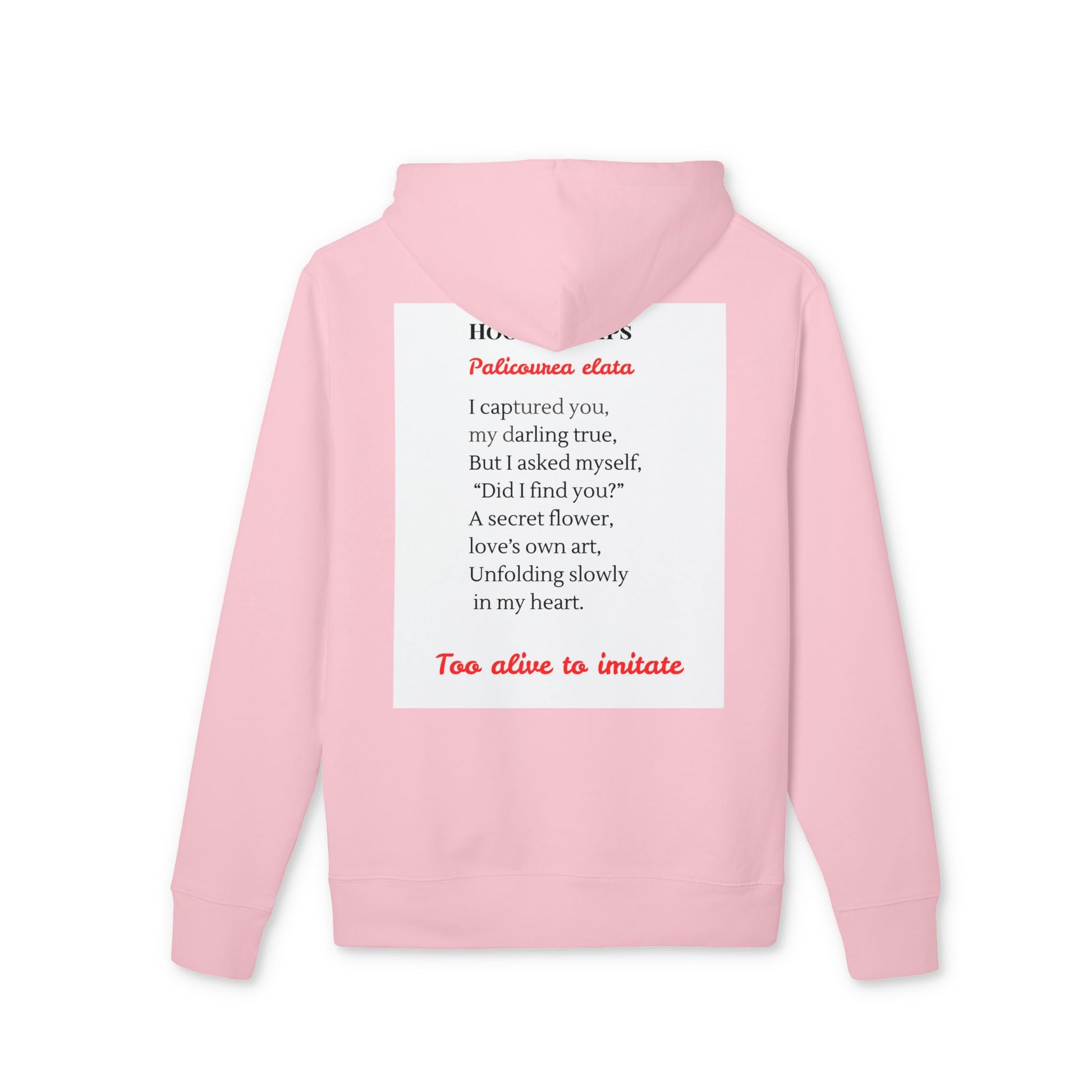 Pink hoodie with text on the back against a white background